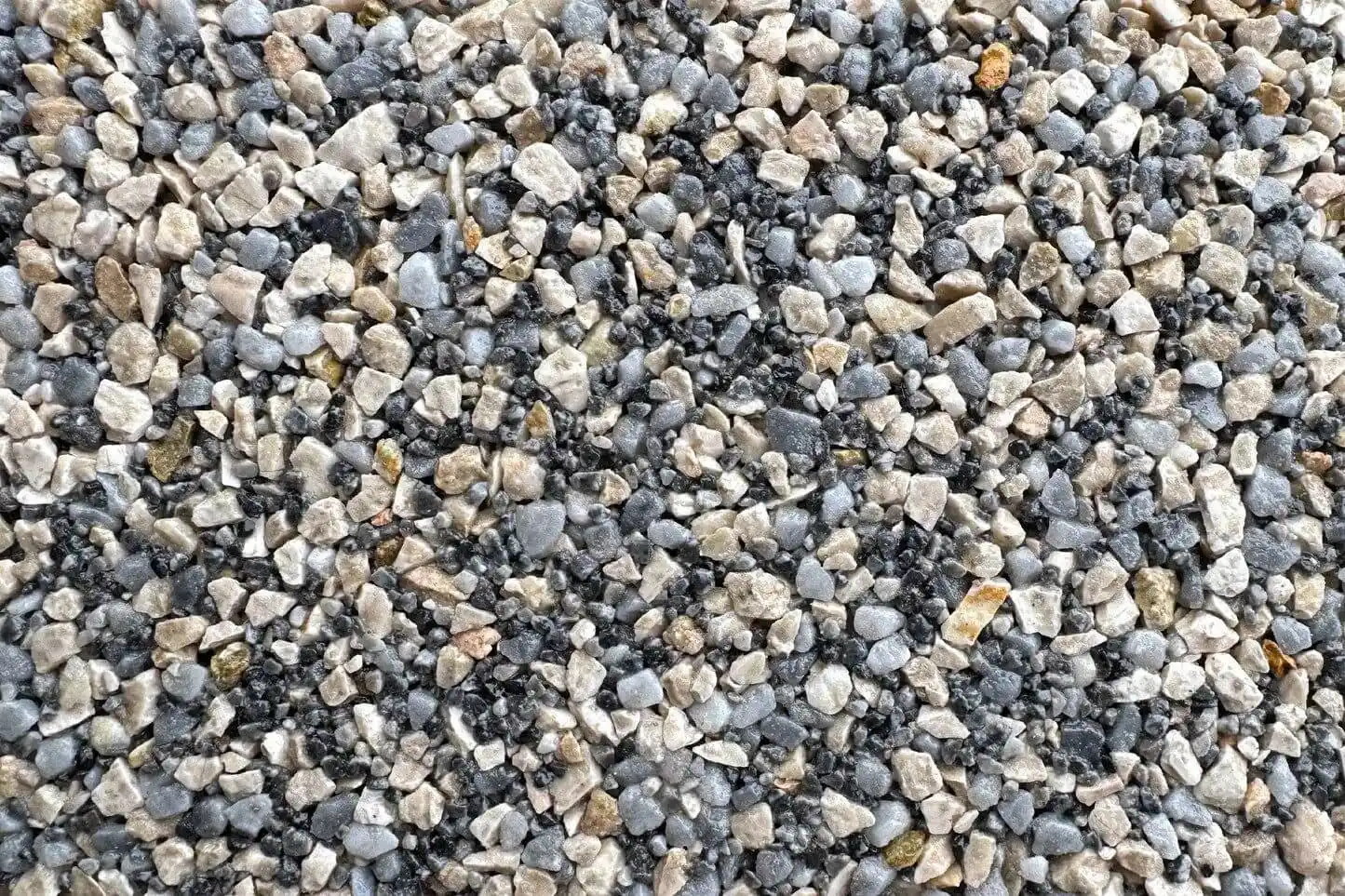 Colour Option Notre Dame